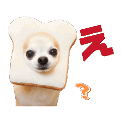 [LINEスタンプ] こざーなわんこすたんぷ