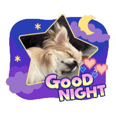 [LINEスタンプ] ラブ♡ウィル