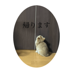[LINEスタンプ] ぽてと(猫)スタンプ