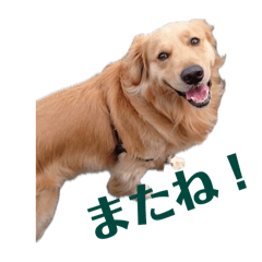 [LINEスタンプ] なおとクン⭐︎スタンプ