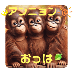 [LINEスタンプ] 韓国語＆日本語で動物達が日常会話⭐️