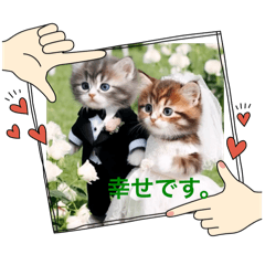 [LINEスタンプ] 夫婦になりました。