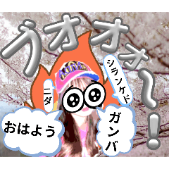 [LINEスタンプ] 元気全開シランケドちゃん