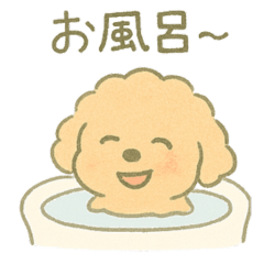 [LINEスタンプ] 「ふわふわトイプー」