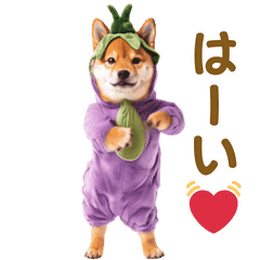 [LINEスタンプ] 踊る！コスプレ犬