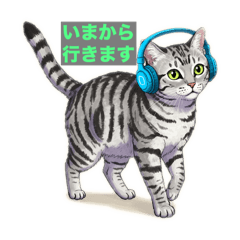 [LINEスタンプ] せいれんチャンネル みうちゃんスタンプ 猫の画像（メイン）