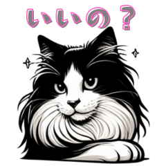 [LINEスタンプ] もふもふ白黒猫の即レススタンプ