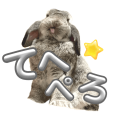 [LINEスタンプ] 日常使えるうさぎさん改