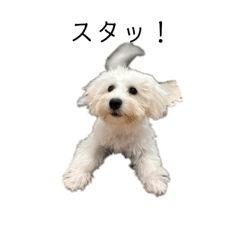 [LINEスタンプ] yama モコ1