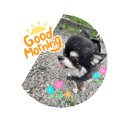 [LINEスタンプ] 動くトミー