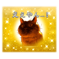 [LINEスタンプ] 田舎の片隅