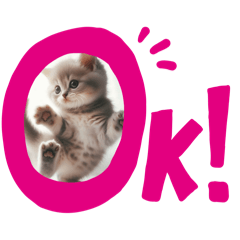 [LINEスタンプ] にゃんこスタンプ。シンプル語