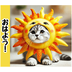 [LINEスタンプ] ひょっこりにゃん‼️,,,,,,,,,,