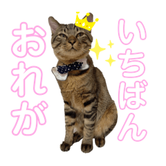 [LINEスタンプ] れおちスタンプ。