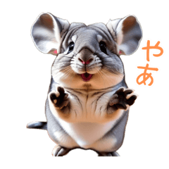 [LINEスタンプ] ハッピーアニマル_チンチラ1