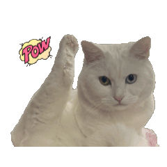 [LINEスタンプ] にゃんこはオッドアイ2