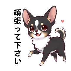 [LINEスタンプ] 毎日使えるあいさつ❗❗【チワワ②】