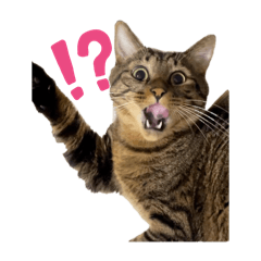 [LINEスタンプ] れおちのスタンプ5。