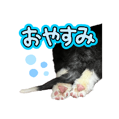 [LINEスタンプ] めるちゃんの日常！！