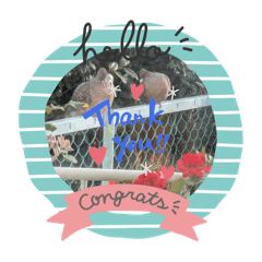 [LINEスタンプ] 我が家で起こった出来事。