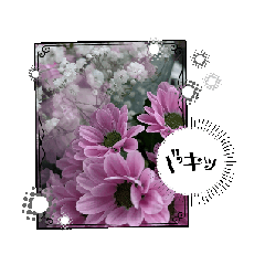 [LINEスタンプ] サスケすたんぷぅ