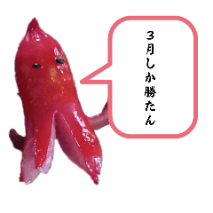 [LINEスタンプ] 3月誕生日の人のスタンプ