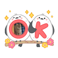 [LINEスタンプ] ぼたんのスタンプ✯