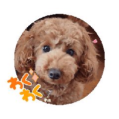 [LINEスタンプ] 動く！茶色のといぷーさん4
