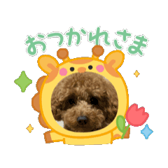 [LINEスタンプ] うさぴょんといぬわん
