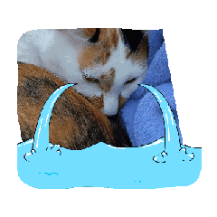 [LINEスタンプ] イト・トロ・マシュのスタンプ