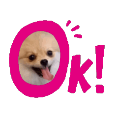 [LINEスタンプ] ぺあしゃんスタンプ