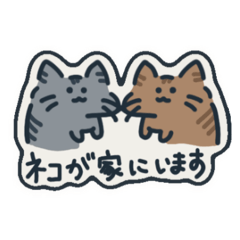 [LINEスタンプ] 手書きネコ挨拶