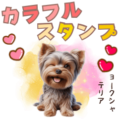 [LINEスタンプ] ヨークシャテリアのカラフルスタンプ