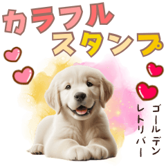 [LINEスタンプ] カラフルなゴールデンレトリバーの子犬