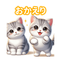 [LINEスタンプ] とにかくかわいいスコティッシュストレート