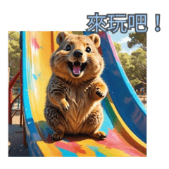 [LINEスタンプ] 愛らしいクオッカ3