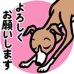 [LINEスタンプ] 【レッド2】1年中使えるイタグレのスタンプ