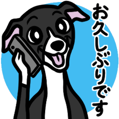 [LINEスタンプ] 【ブラック2】1年中使えるイタグレスタンプ