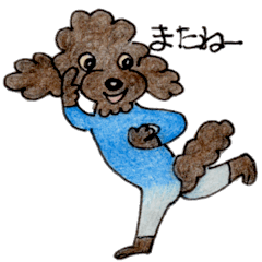 [LINEスタンプ] プードルのベルちゃんスタンプ