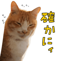 [LINEスタンプ] みんなのまいにち☻