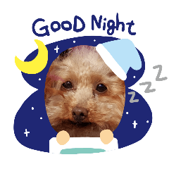 [LINEスタンプ] ange④