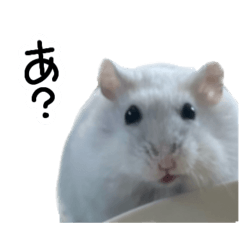 [LINEスタンプ] 爆裂凶暴ハムスター