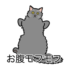 [LINEスタンプ] 猫あるある（灰色猫／長毛）