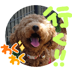 [LINEスタンプ] 茶色のといぷーさん2