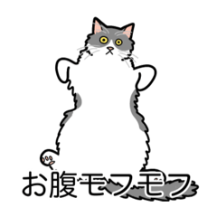 [LINEスタンプ] 猫あるある（ハチワレ灰色猫／長毛）
