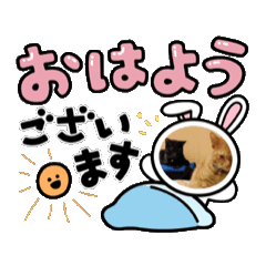 [LINEスタンプ] 仲良し兄弟猫スタンプ
