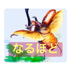 [LINEスタンプ] 動く！昆虫たちの stamp