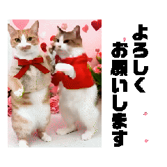 [LINEスタンプ] 改良♡ラブリー動く猫スタンプ♡日常♡敬語