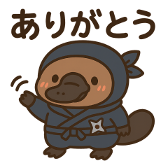 [LINEスタンプ] かわいい忍者のカモノハシのスタンプ 001