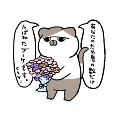 [LINEスタンプ] お招き猫のまたたびさんver.3